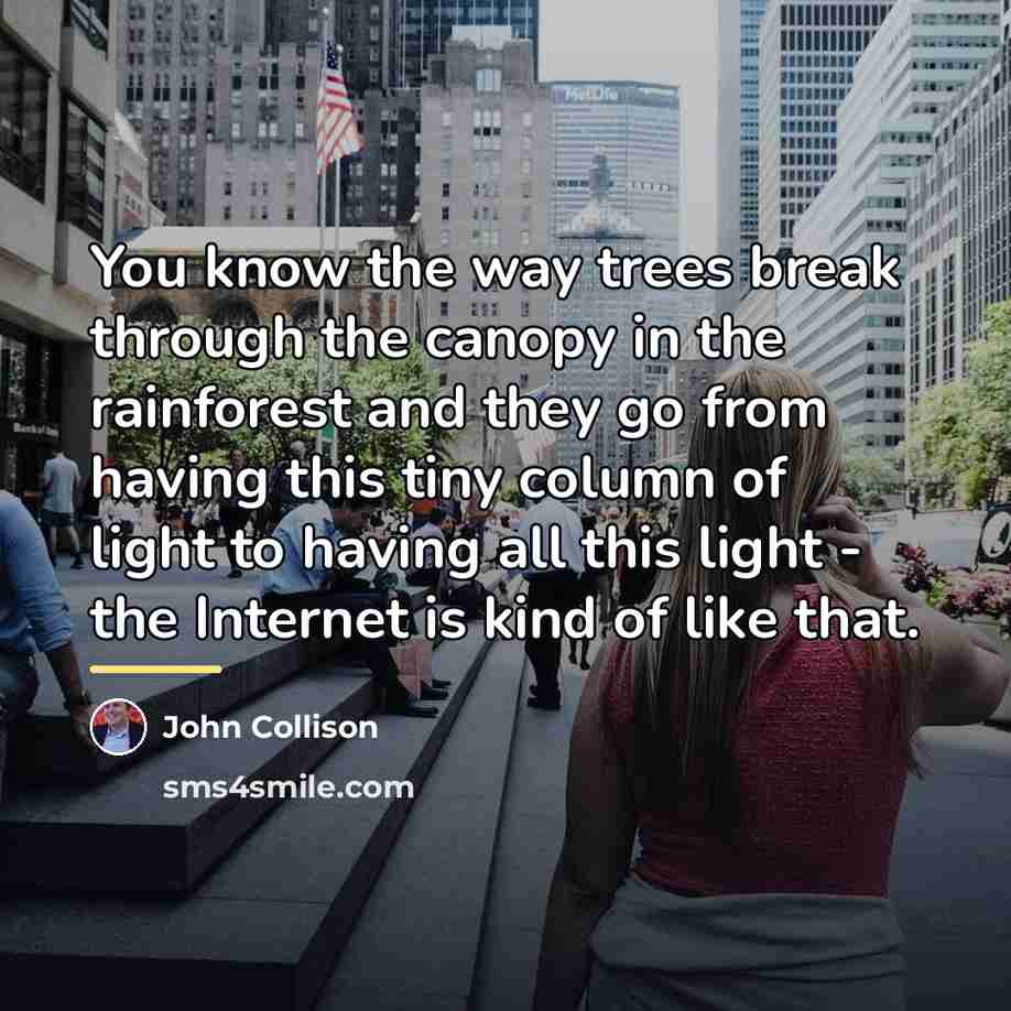 “You know the way trees break through the canopy in…” quote by John Collison
