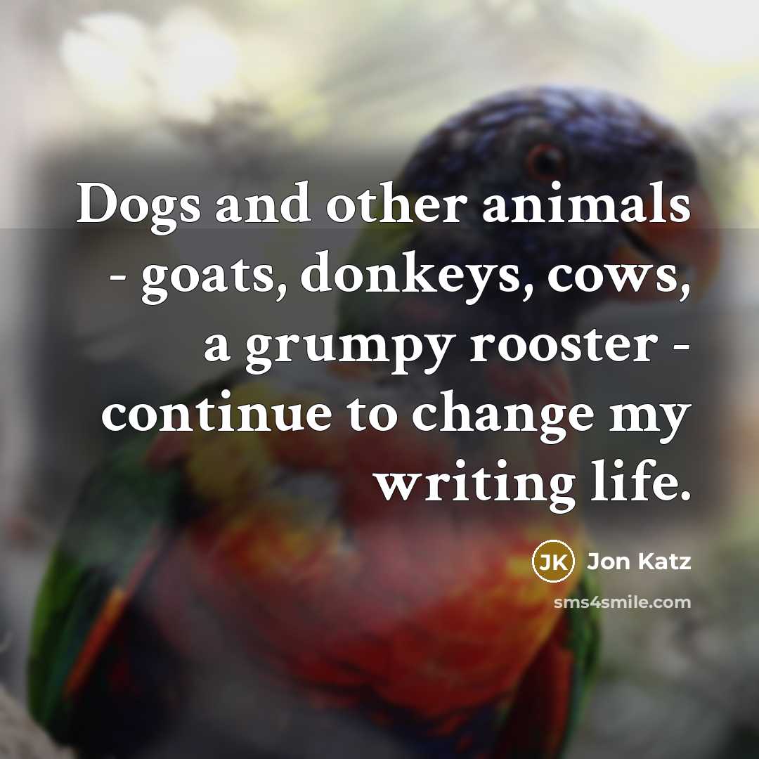 “Dogs and other animals - goats, donkeys, cows, a grumpy…” quote by Jon Katz