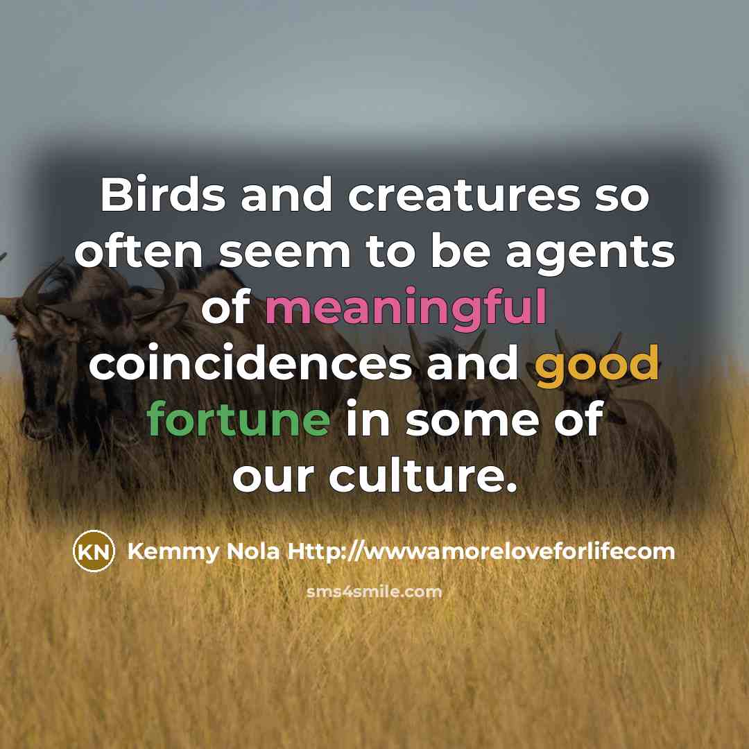 “Birds and creatures so often seem to be agents of…” quote by Kemmy Nola Http://wwwamoreloveforlifecom