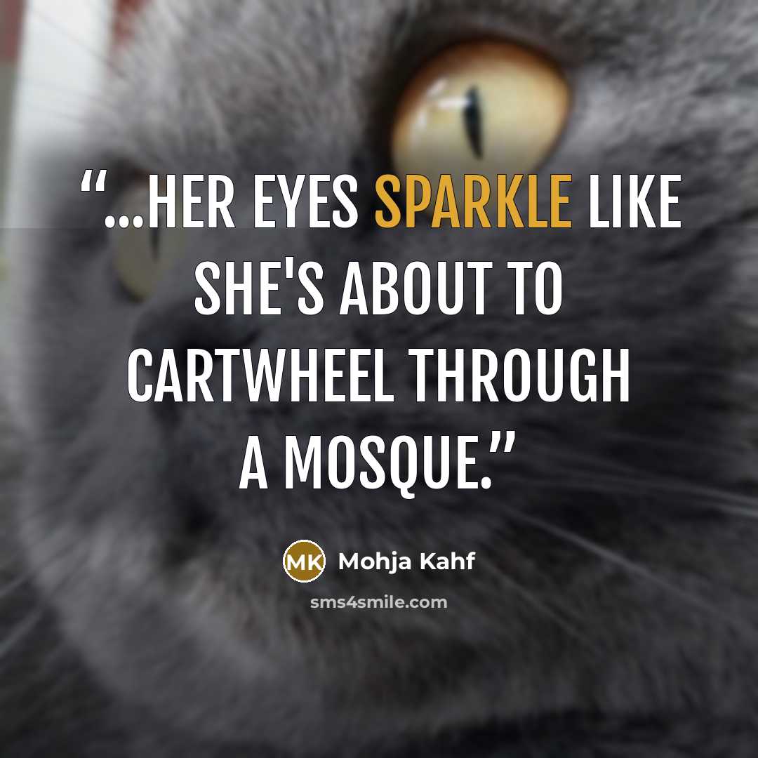 “...Her eyes sparkle like she's about to cartwheel through a mosque.” quote by Mohja Kahf