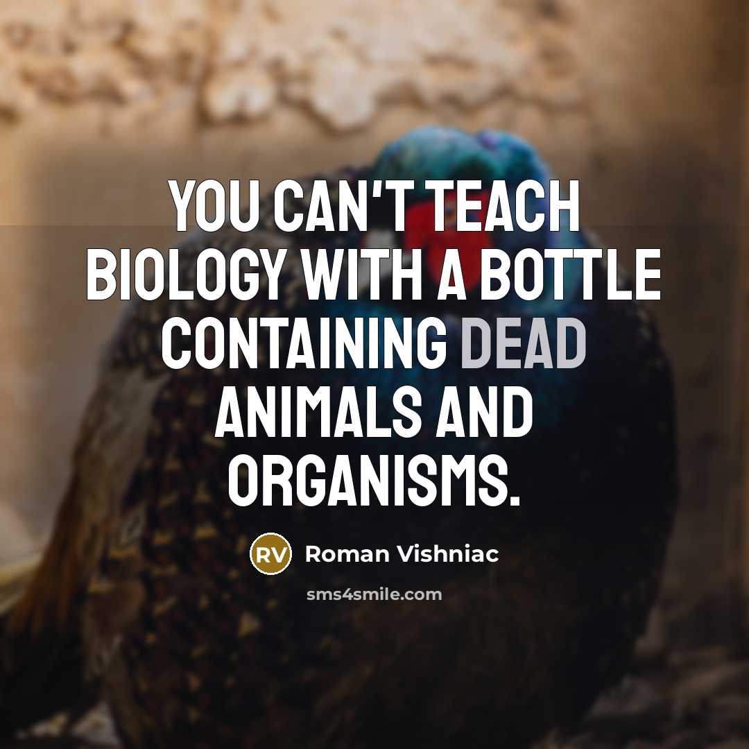 “You can't teach biology with a bottle containing dead animals…” quote by Roman Vishniac