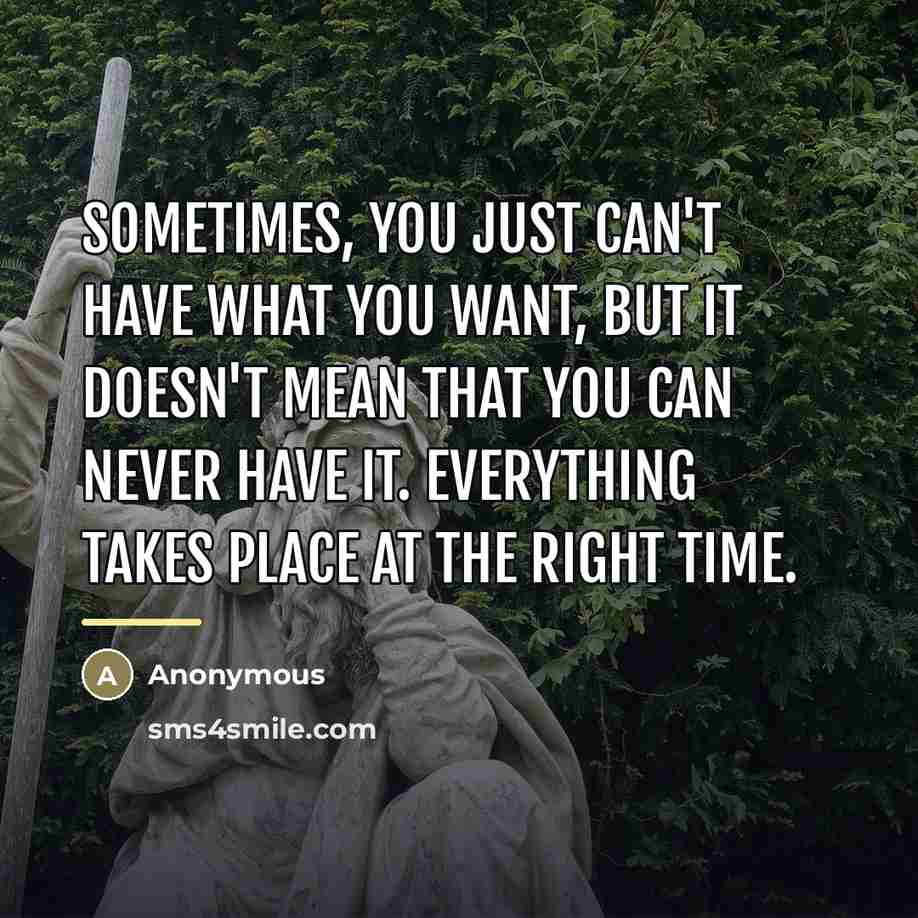 “Sometimes, you just can't have what you want, but it…” quote by Sheikh Anayat