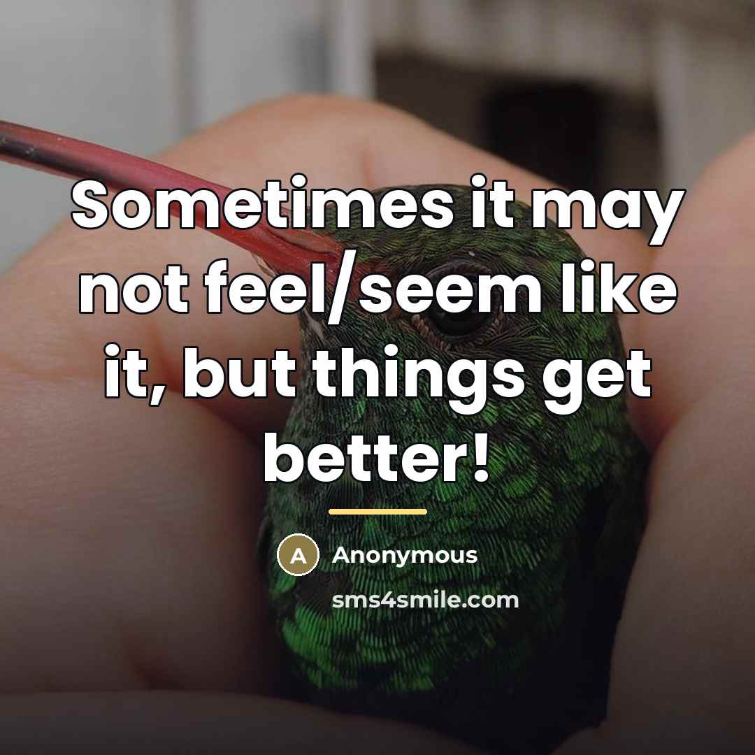 “Sometimes it may not feel/seem like it, but things get…” quote by Anonymous