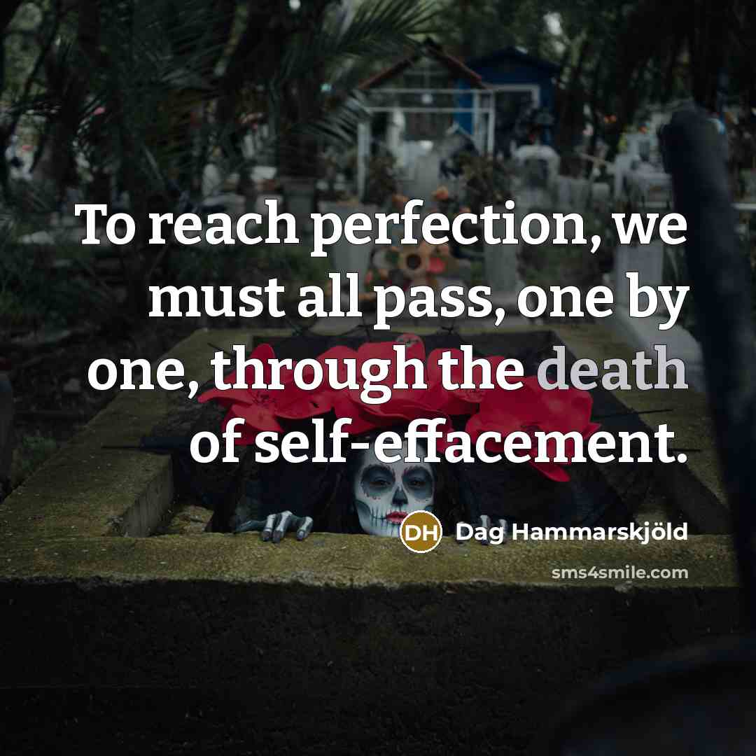 “To reach perfection, we must all pass, one by one,…” quote by Dag Hammarskjold