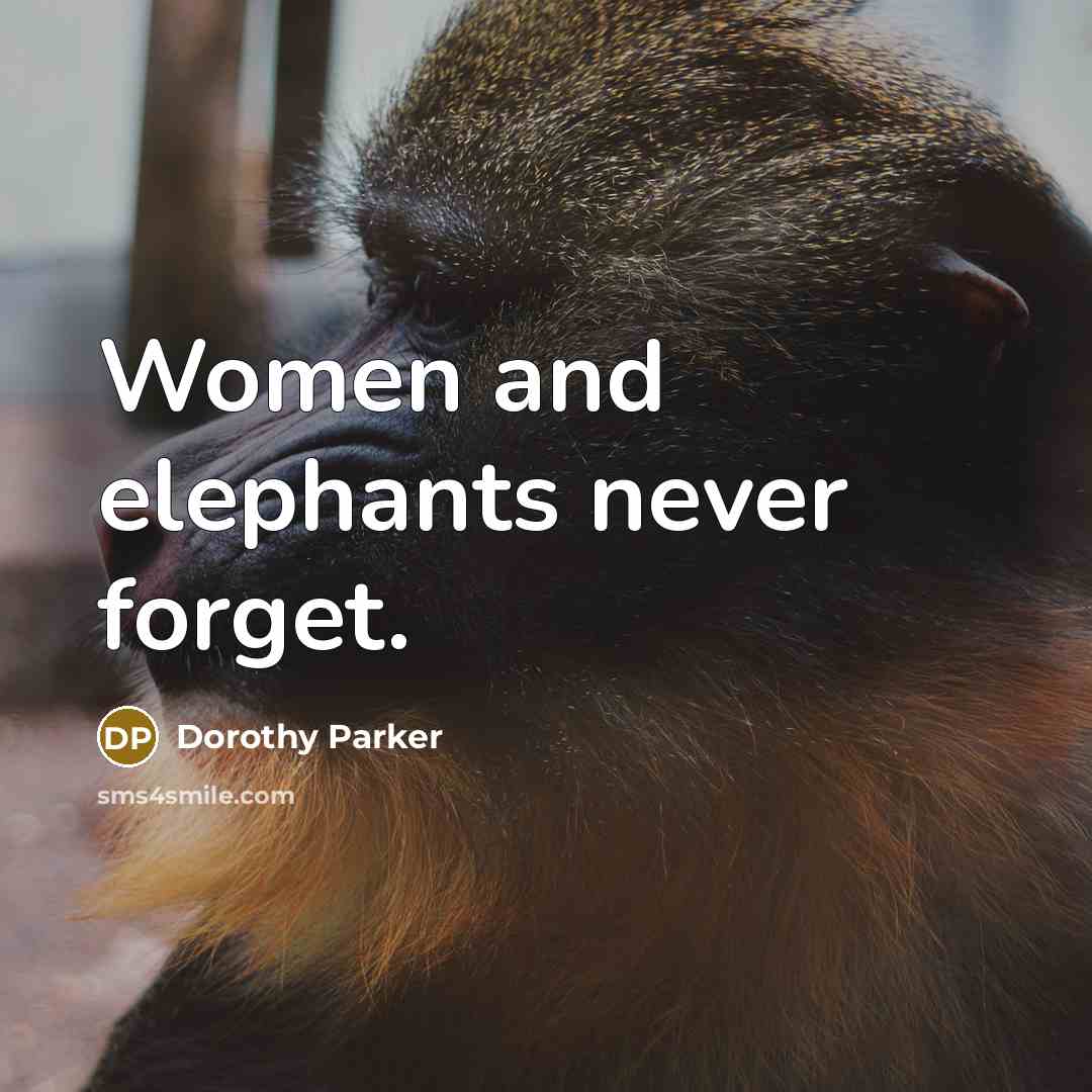 “Women and elephants never forget.” quote by Dorothy Parker