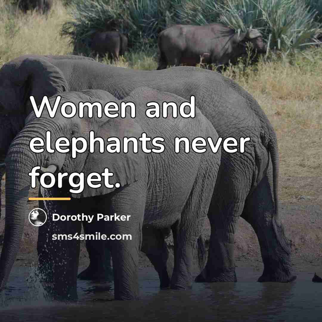 “Women and elephants never forget.…” quote by Dorothy Parker