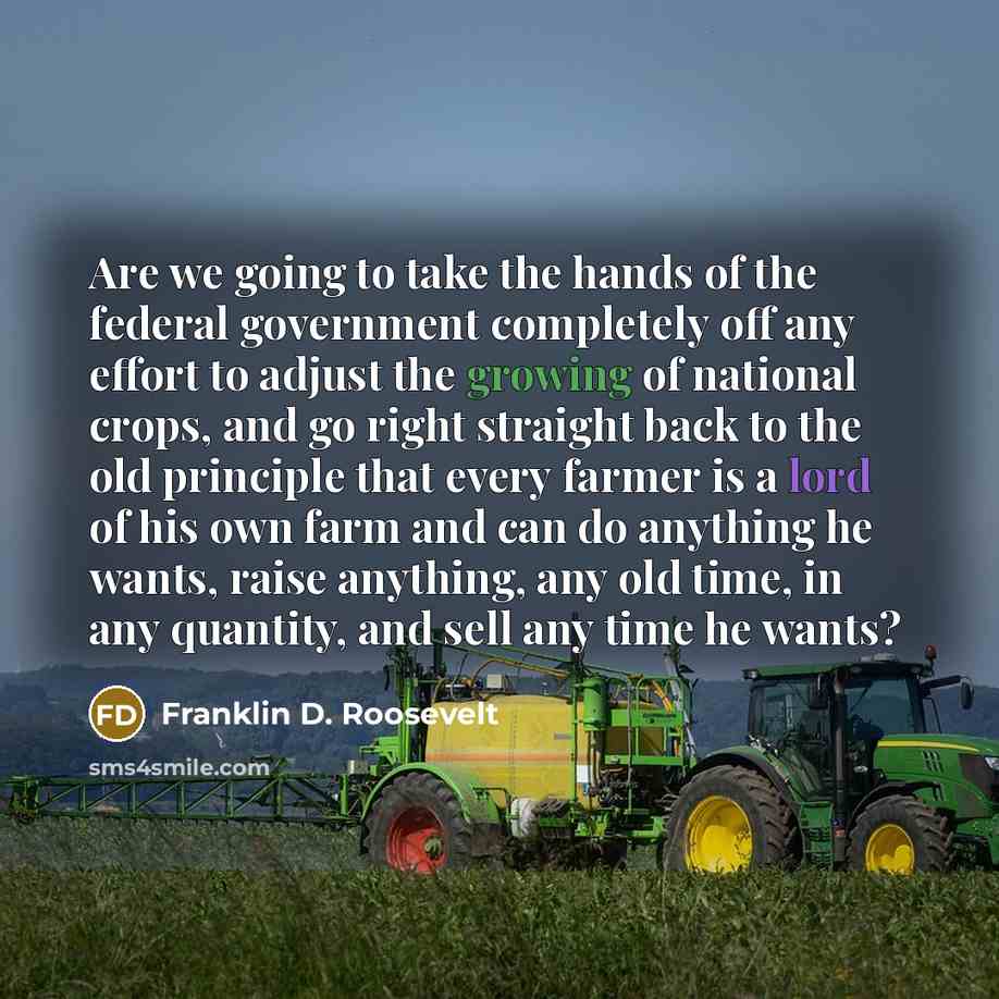 “Are we going to take the hands of the federal…” quote by Franklin D. Roosevelt