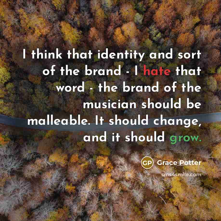 “I think that identity and sort of the brand - I hate that word - the brand of the musician should be malleable. It should change, and it should grow.” quote by Grace Potter