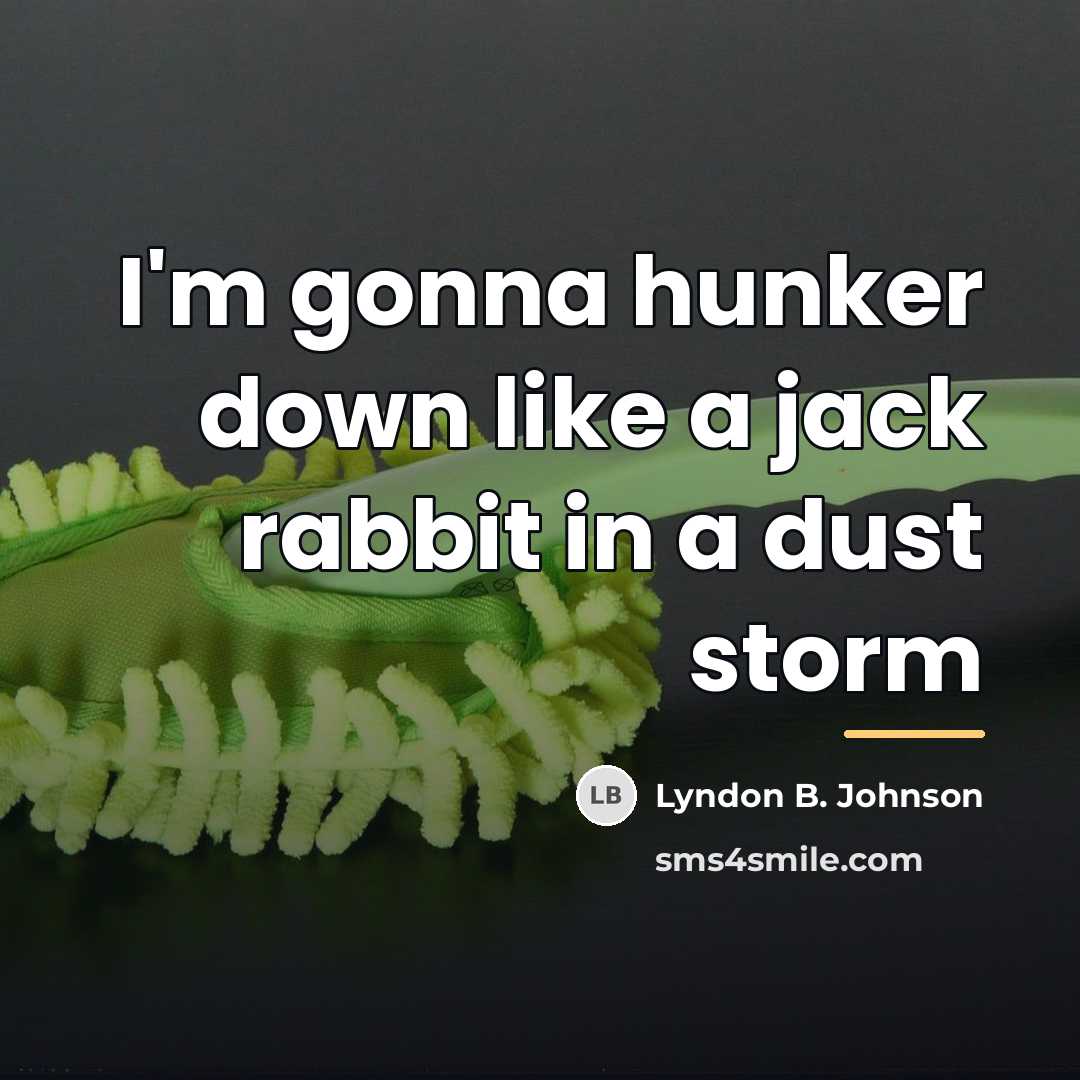 “I'm gonna hunker down like a jack rabbit in a…” quote by Lyndon B. Johnson
