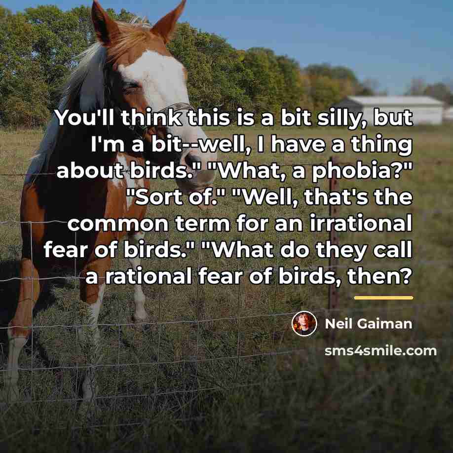 “You'll think this is a bit silly, but I'm a…” quote by Neil Gaiman