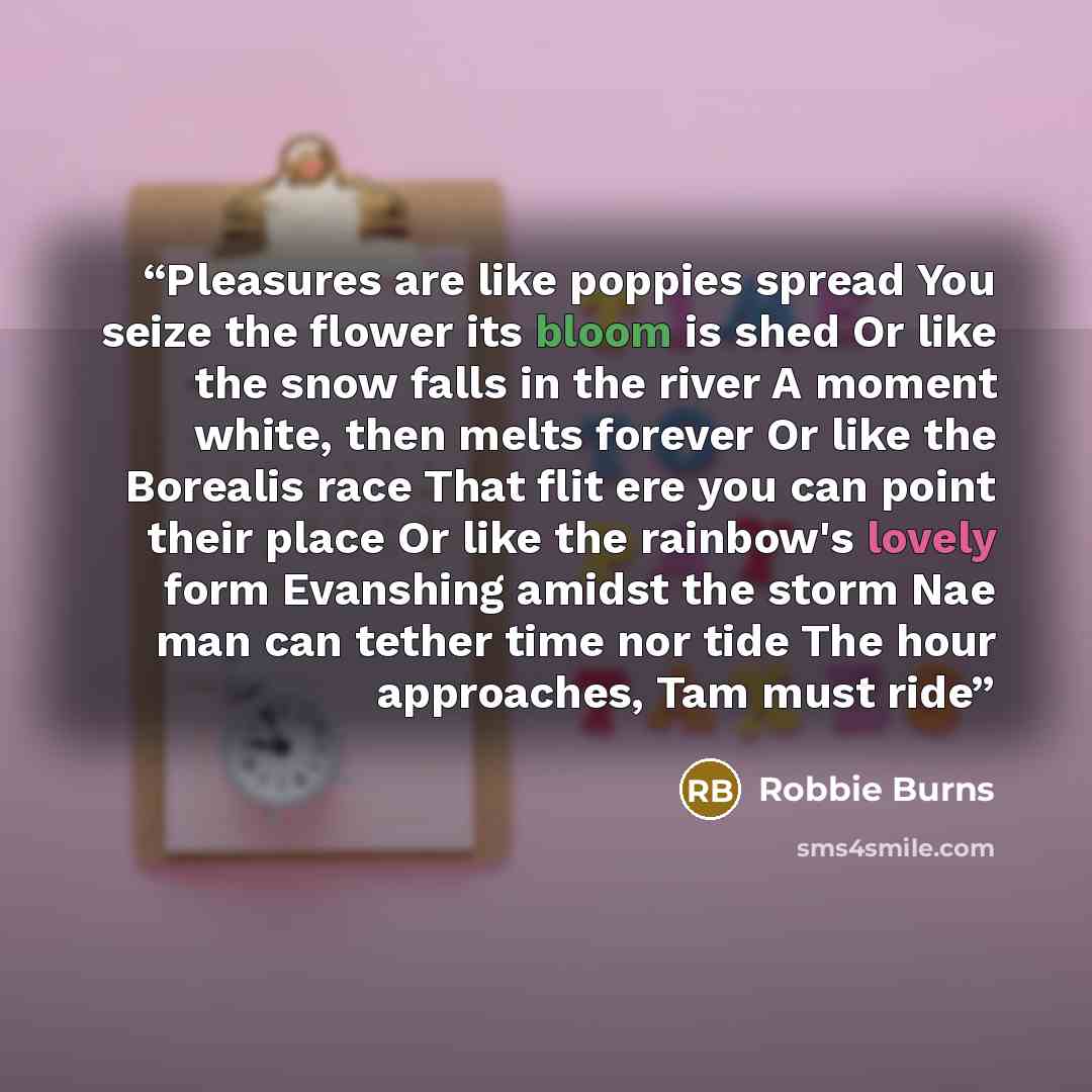 “Pleasures are like poppies spread You seize the flower its bloom is shed Or like the snow falls in the river A moment white, then melts forever Or like the Borealis race That flit ere you can point their place Or like the rainbow's lovely form Evanshing amidst the storm Nae man can tether time nor…” quote by Robbie Burns