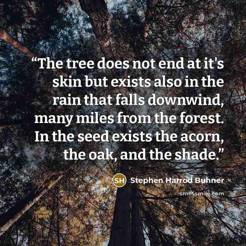 “The tree does not end at it's skin but exists also in the rain that falls downwind, many miles from the forest. In the seed exists the acorn, the oak, and the shade.” quote by Stephen Harrod Buhner
