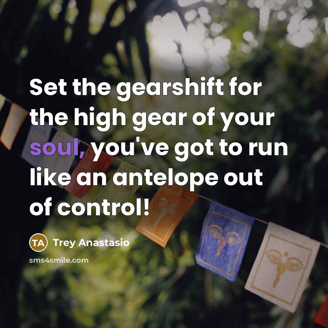 “Set the gearshift for the high gear of your soul,…” quote by Trey Anastasio