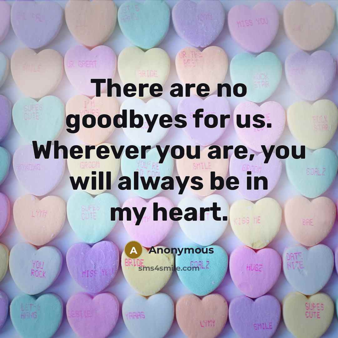“There are no goodbyes for us. Wherever you are, you will always be in my heart.” quote by Anonymous