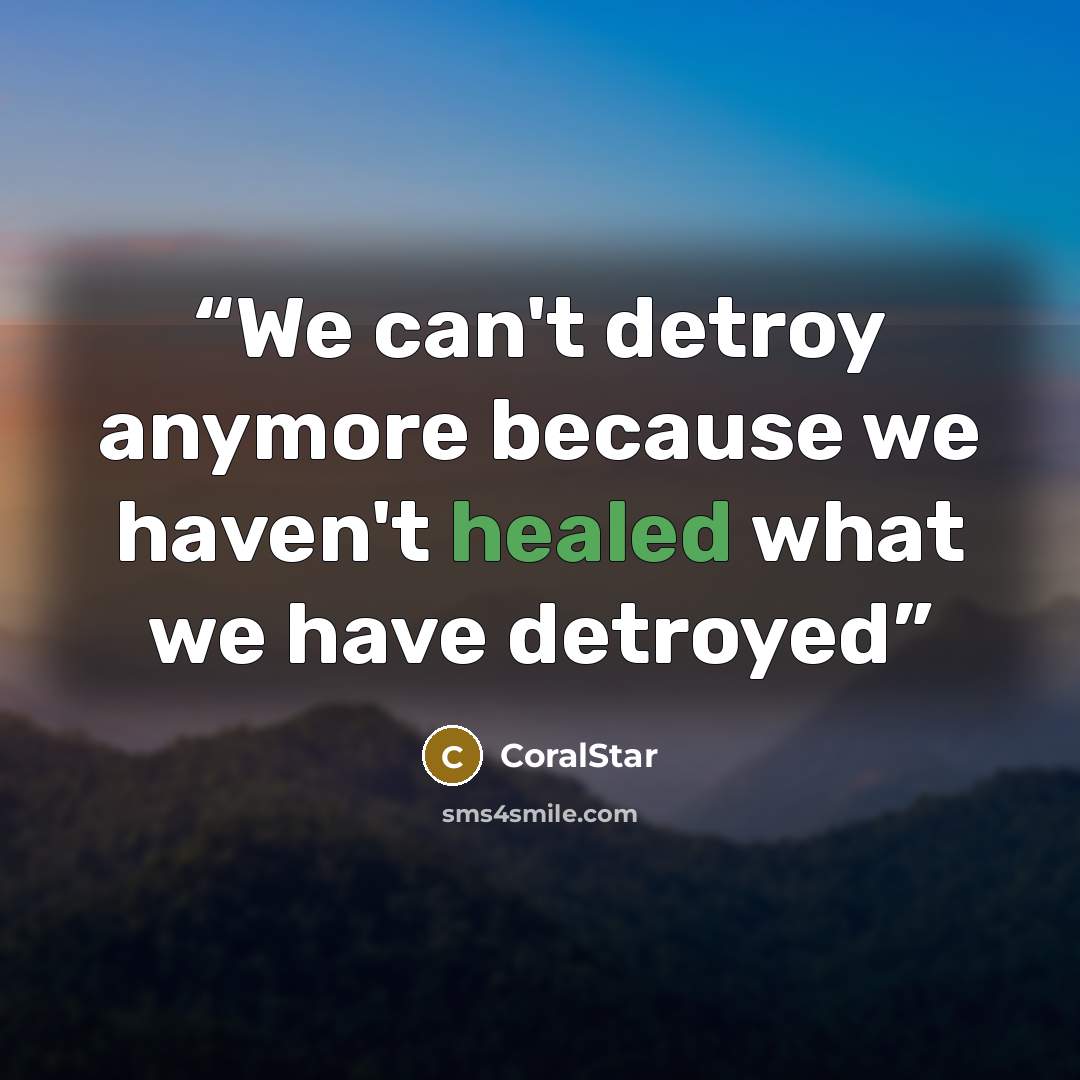 “We can't detroy anymore because we haven't healed what we have detroyed” quote by CoralStar