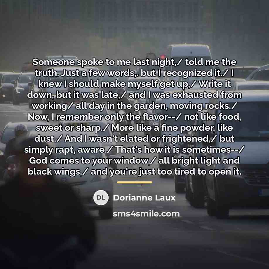 “Someone spoke to me last night,/ told me the truth.…” quote by Dorianne Laux