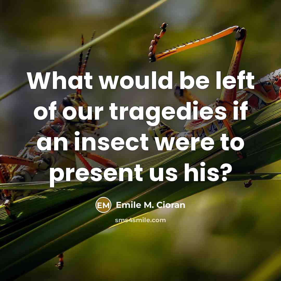 “What would be left of our tragedies if an insect…” quote by Emile M. Cioran