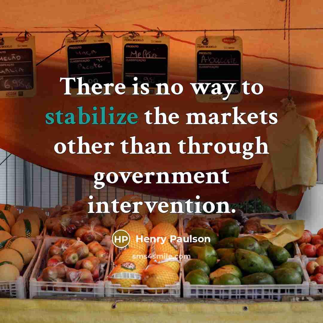 “There is no way to stabilize the markets other than…” quote by Henry Paulson