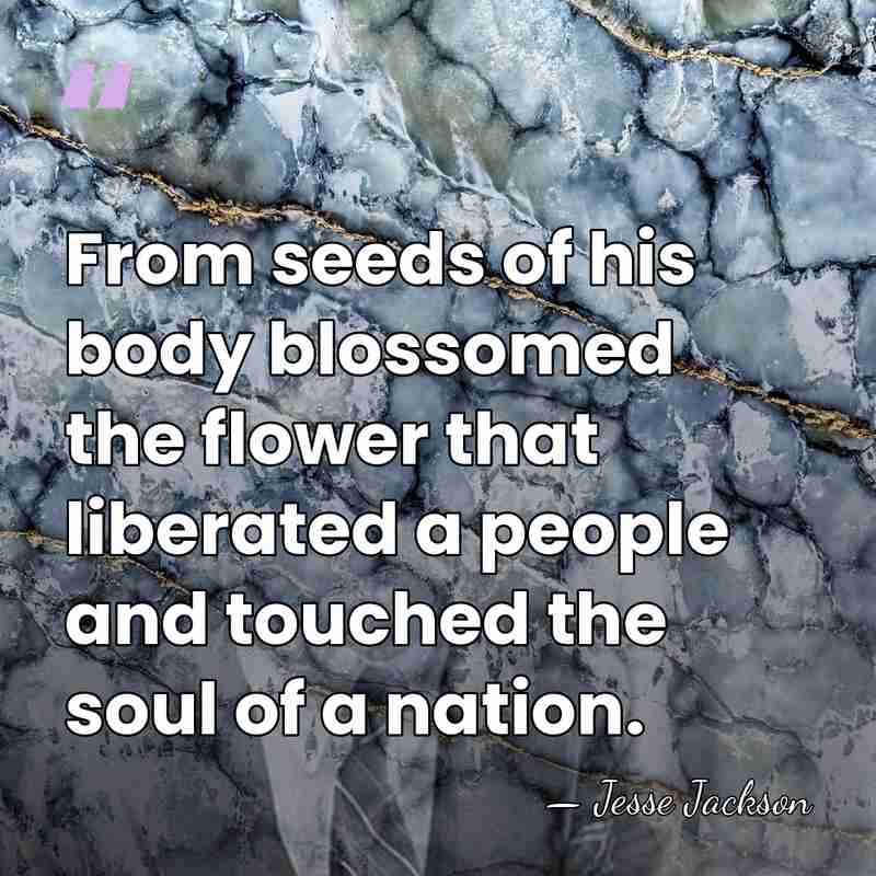 From seeds of his body blossomed the flower that liberated a people&hellip; - Jesse Jackson