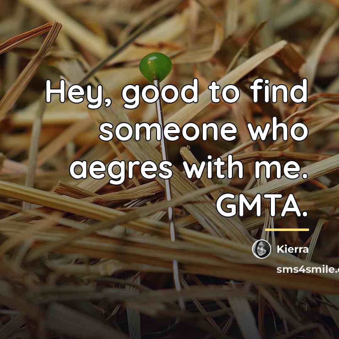 “Hey, good to find someone who aegres with me. GMTA.…” quote by Kierra