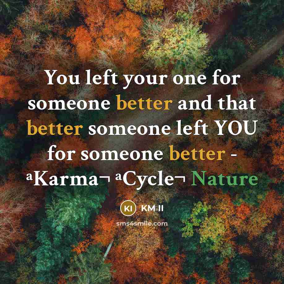 “You left your one for someone better and that better someone left YOU for someone better - ªKarma¬ ªCycle¬ Nature” quote by KM II