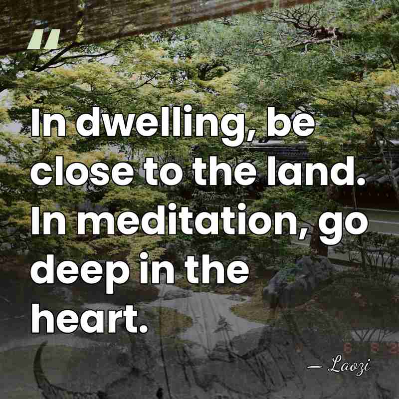In dwelling, be close to the land. In meditation, go deep in&hellip; - Laozi