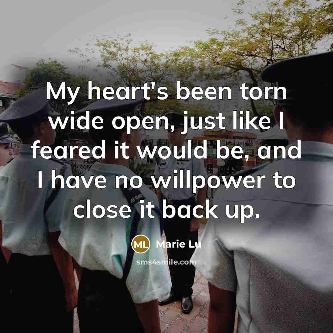 “My heart's been torn wide open, just like I feared…” quote by Marie Lu
