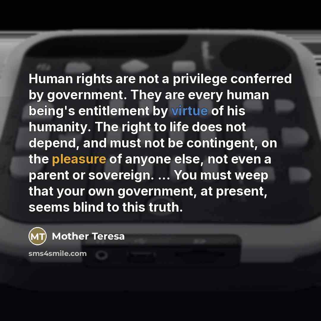 “Human rights are not a privilege conferred by government. They…” quote by Mother Teresa