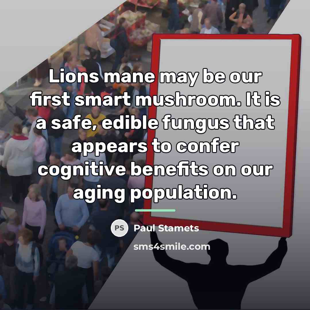 “Lions mane may be our first smart mushroom. It is…” quote by Paul Stamets