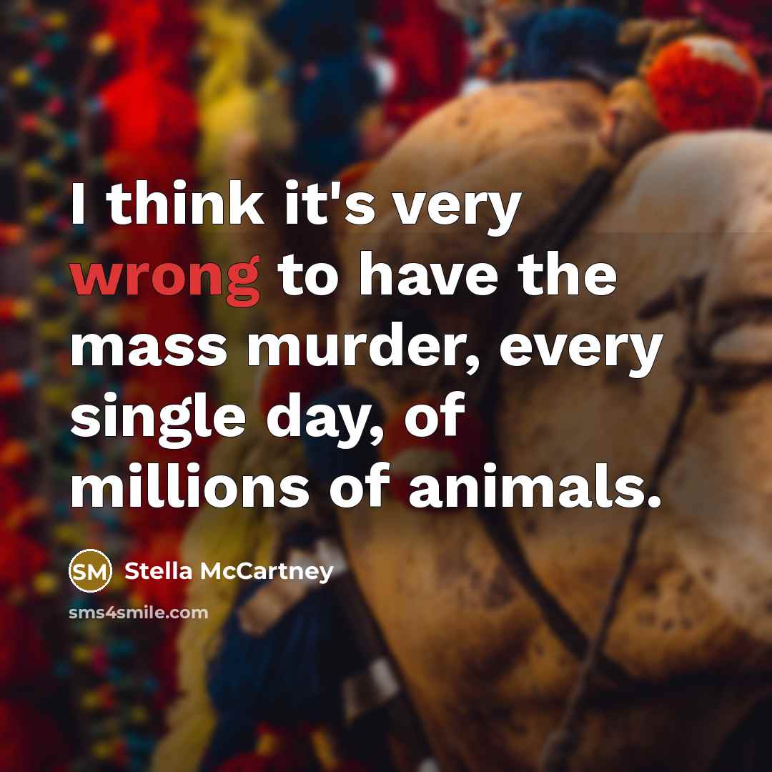 “I think it's very wrong to have the mass murder,…” quote by Stella McCartney