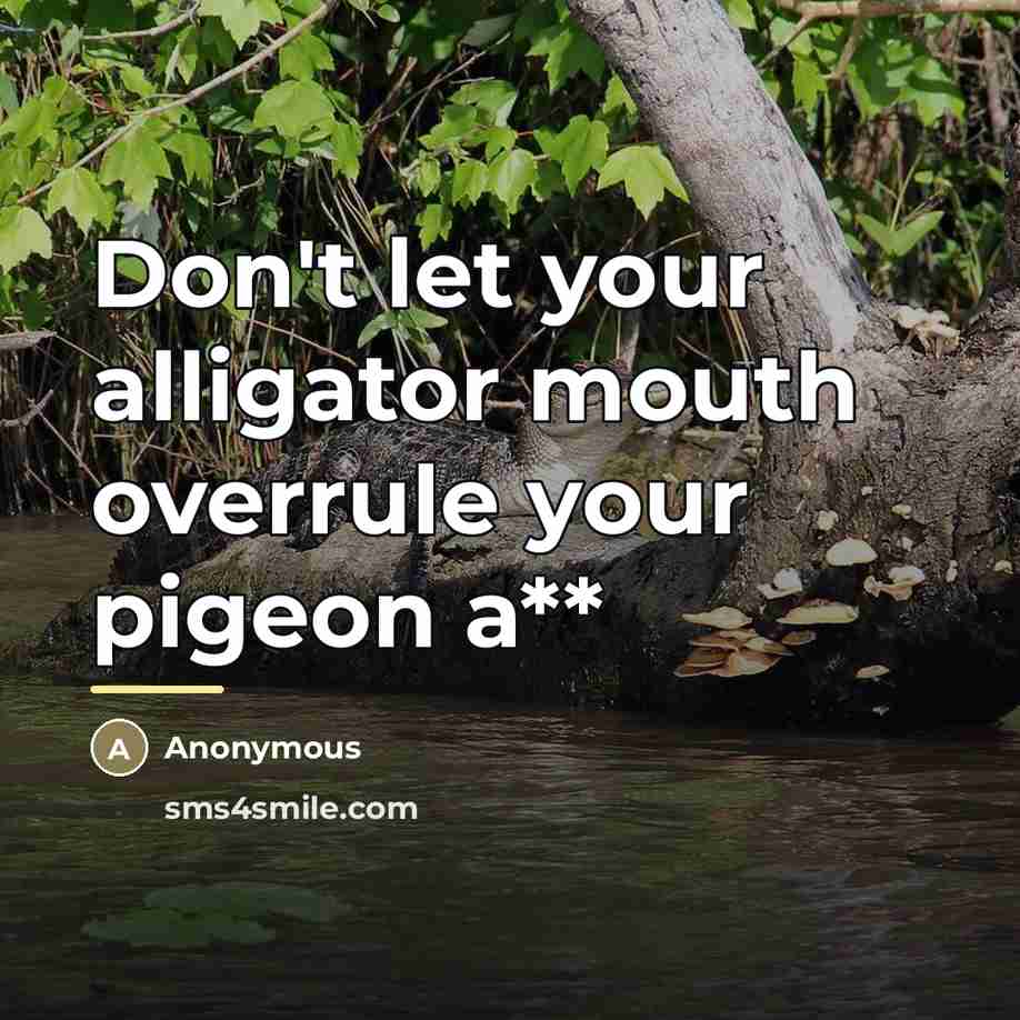 “Don't let your alligator mouth overrule your pigeon a**…” quote by Anonymous