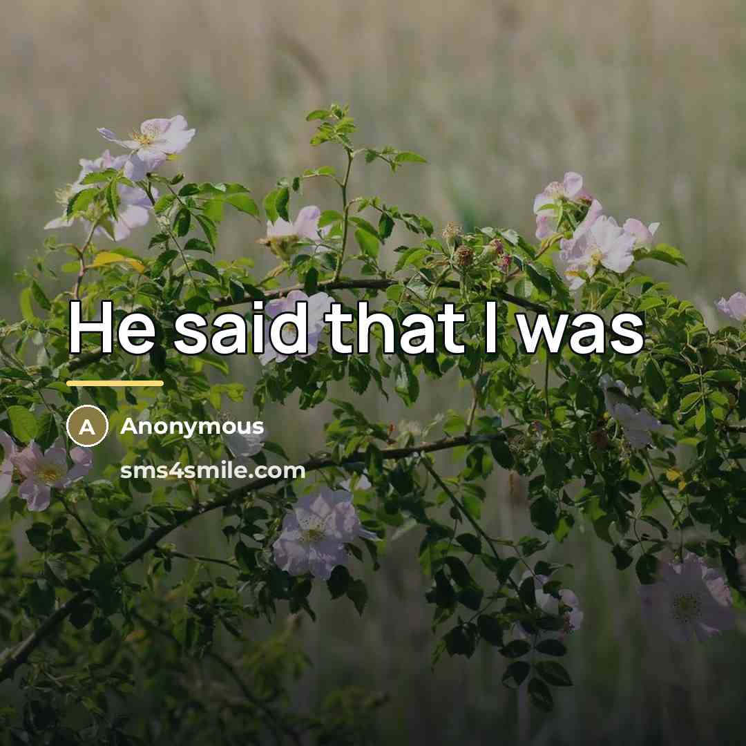 “He said that I was…” quote by Anonymous