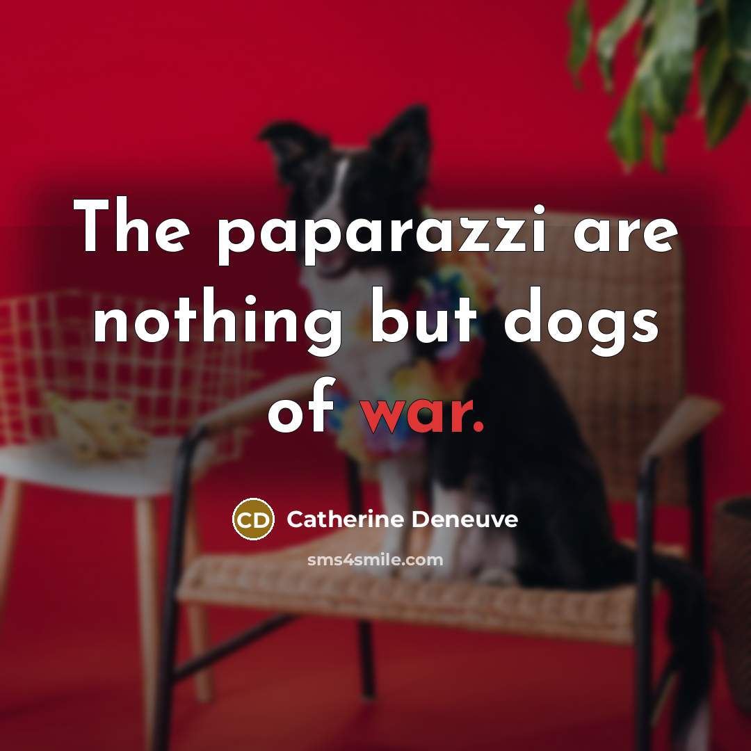 “The paparazzi are nothing but dogs of war.…” quote by Catherine Deneuve