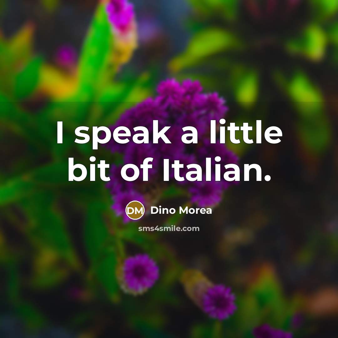 “I speak a little bit of Italian.…” quote by Dino Morea