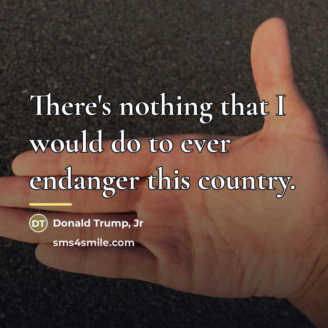 “There's nothing that I would do to ever endanger this…” quote by Donald Trump, Jr
