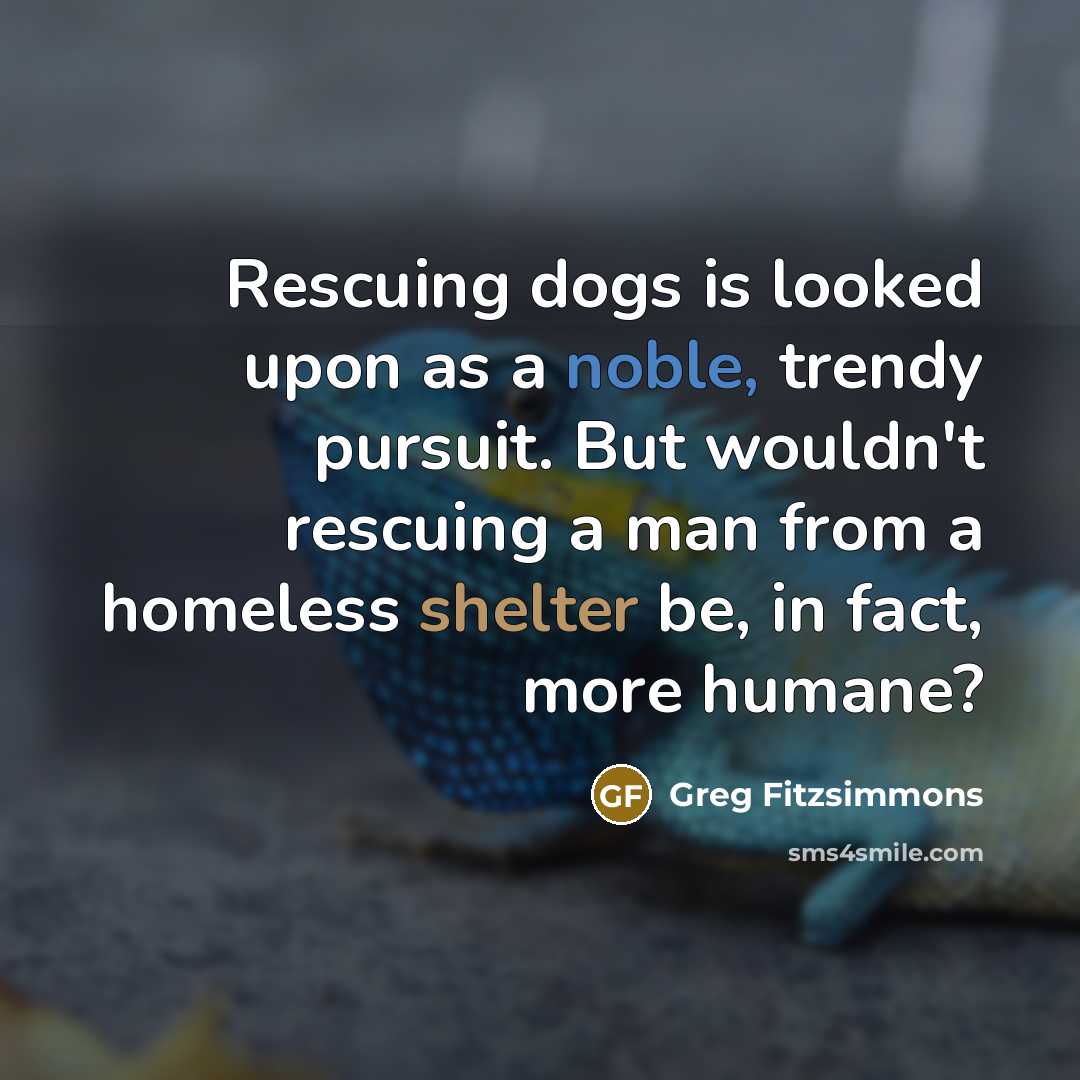 “Rescuing dogs is looked upon as a noble, trendy pursuit. But wouldn't rescuing a man from a homeless shelter be, in fact, more humane?” quote by Greg Fitzsimmons