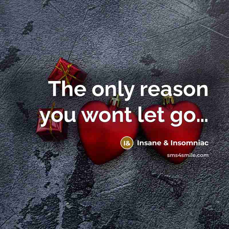 “The only reason you wont let go....…” quote by Insane & Insomniac
