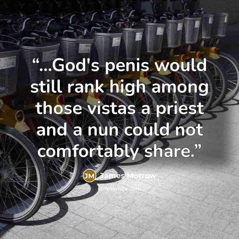 “...God's penis would still rank high among those vistas a priest and a nun could not comfortably share.” quote by James Morrow