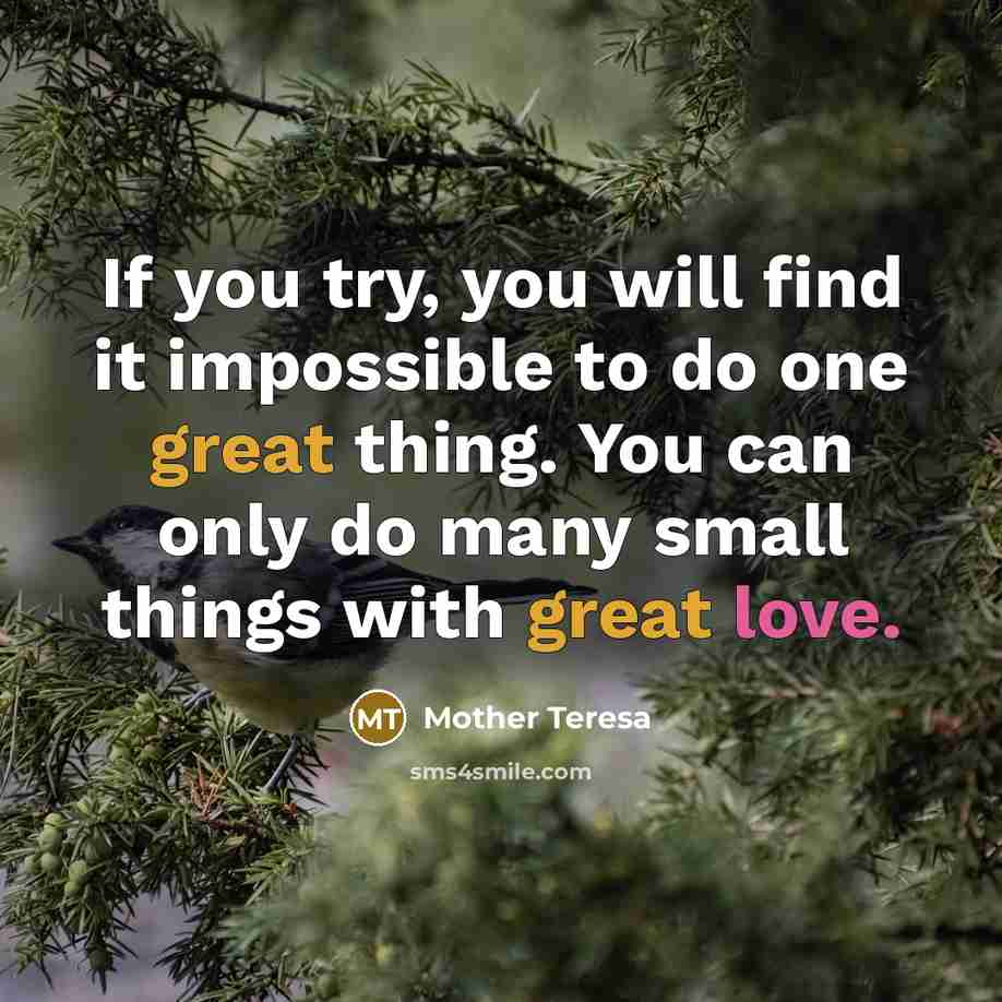 “If you try, you will find it impossible to do…” quote by Mother Teresa