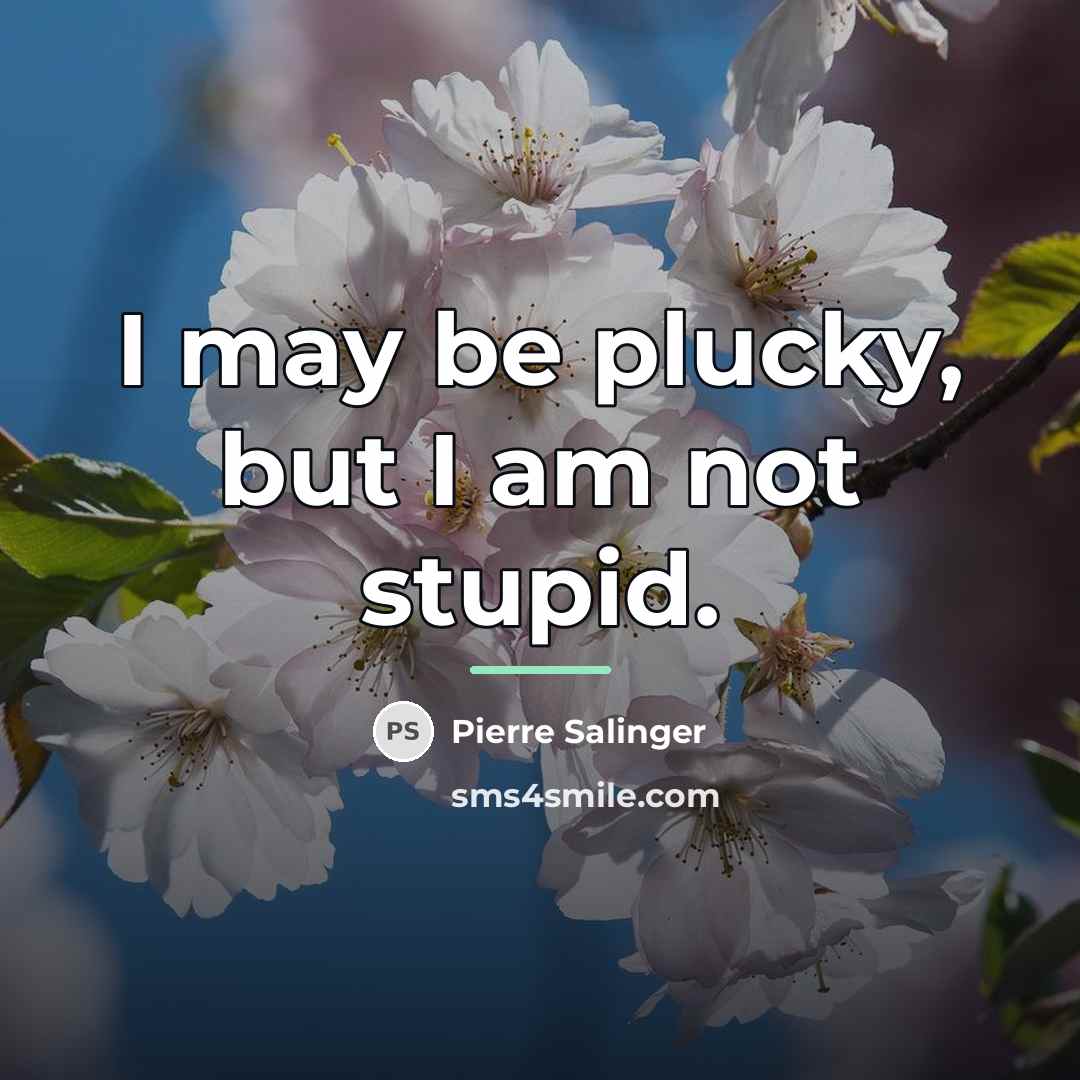 “I may be plucky, but I am not stupid.…” quote by Pierre Salinger