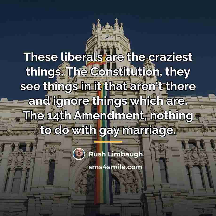 “These liberals are the craziest things. The Constitution, they see…” quote by Rush Limbaugh