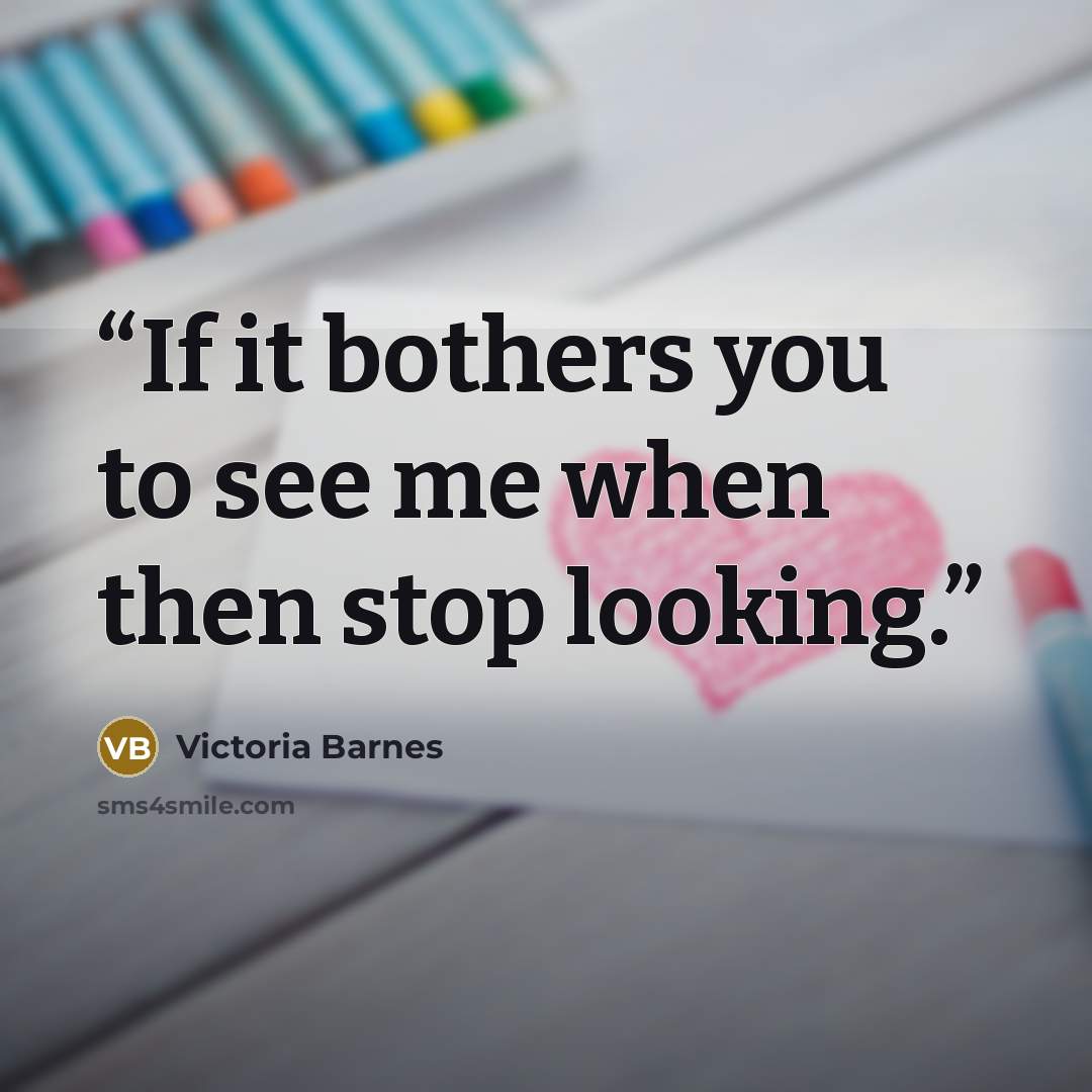 “If it bothers you to see me when then stop looking.” quote by Victoria Barnes
