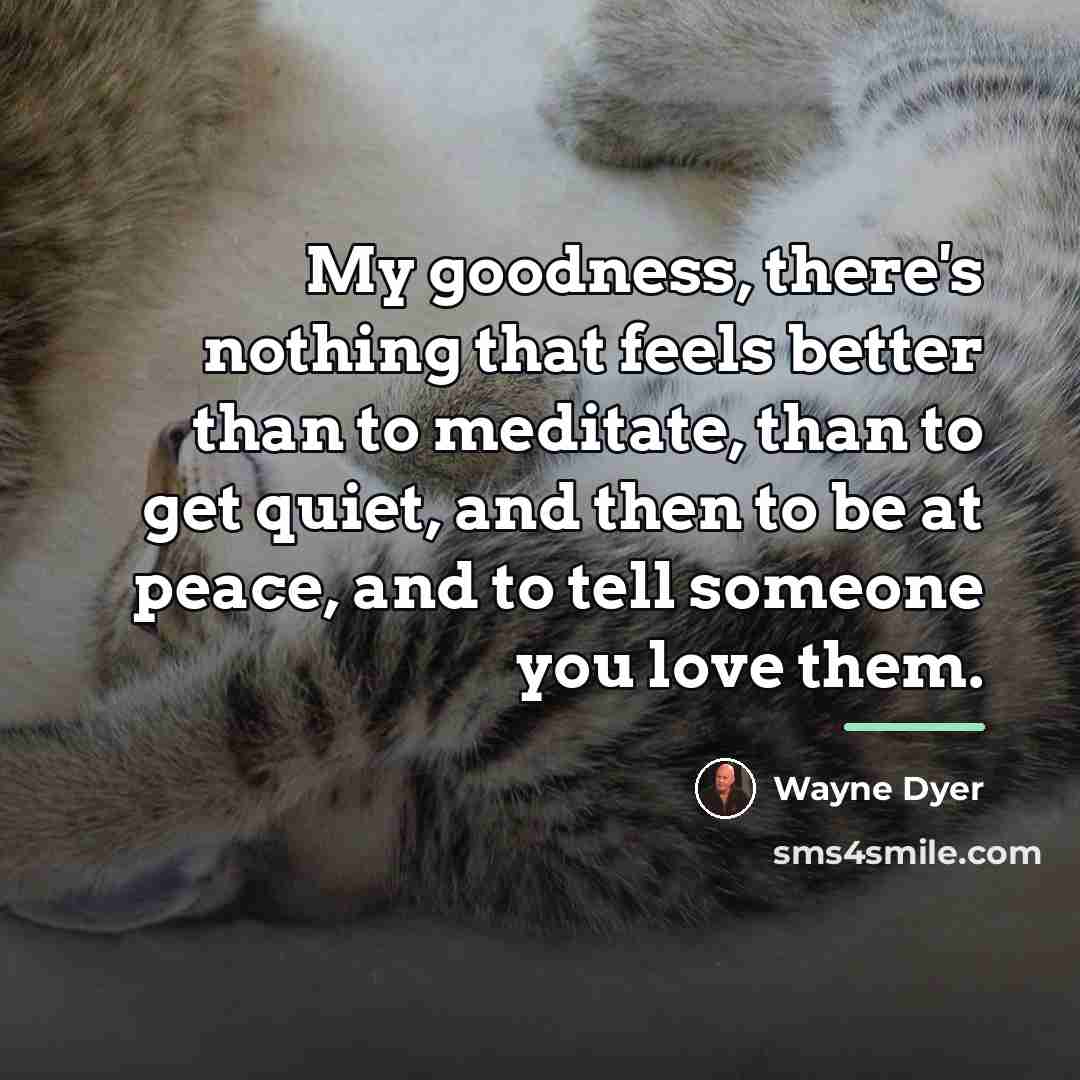 “My goodness, there's nothing that feels better than to meditate,…” quote by Wayne Dyer