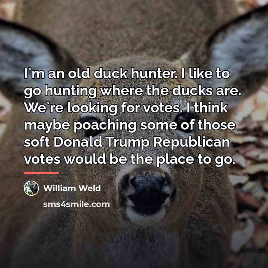 “I`m an old duck hunter. I like to go hunting…” quote by William Weld
