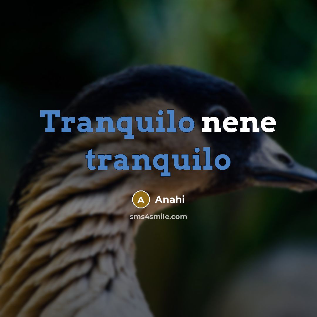 “Tranquilo nene tranquilo” quote by Anahi