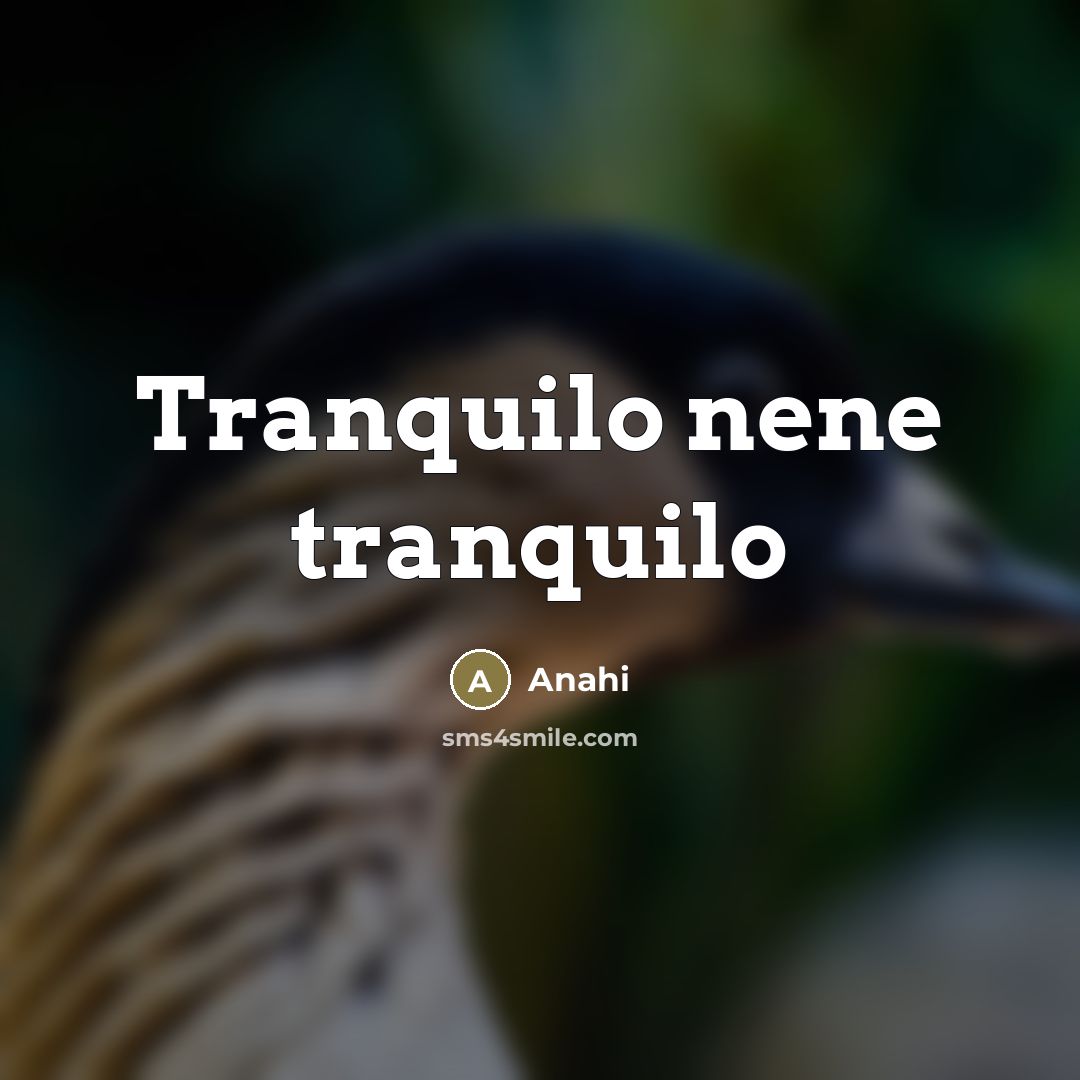 “Tranquilo nene tranquilo” quote by Anahi