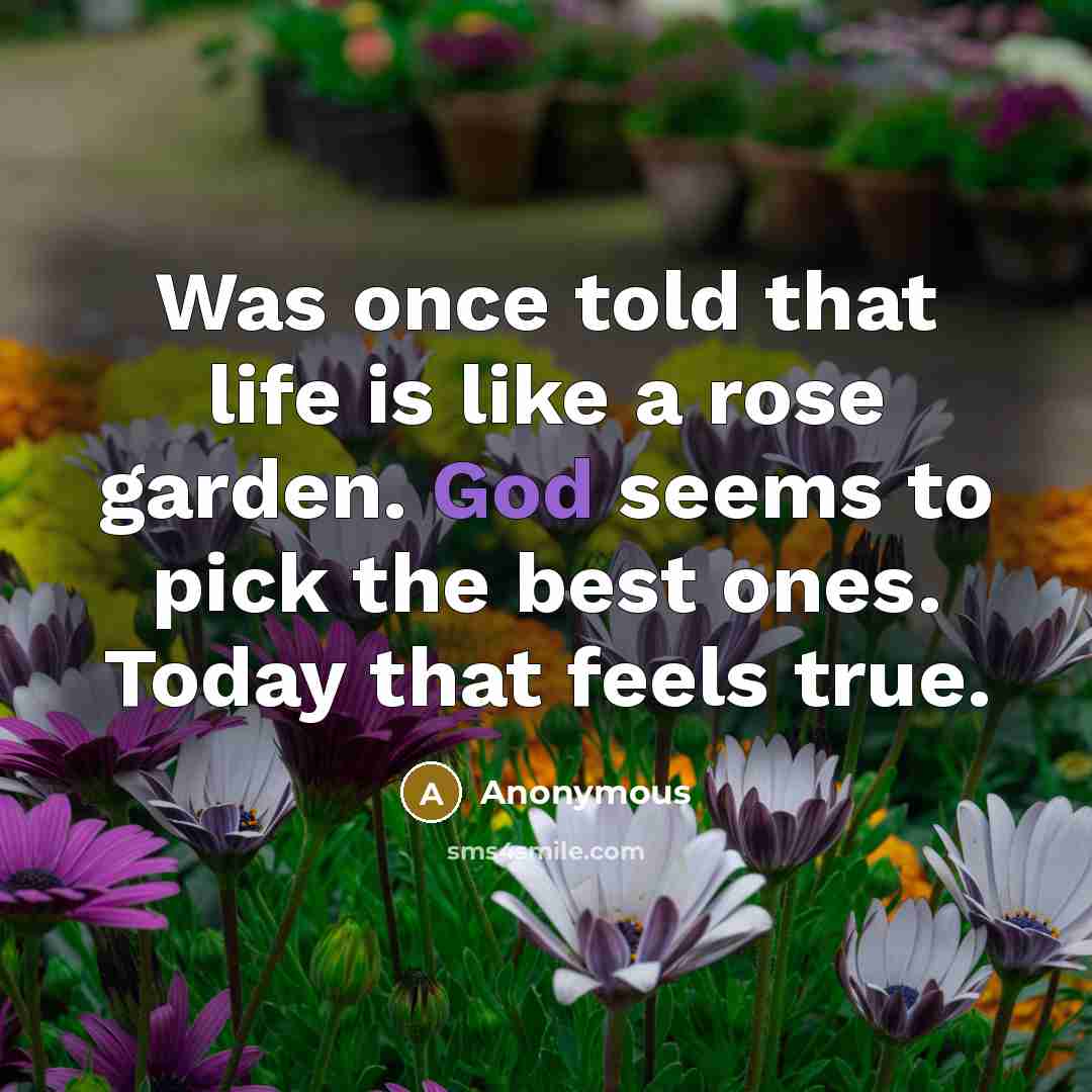 “Was once told that life is like a rose garden. God seems to pick the best ones. Today that feels true.” quote by Anonymous