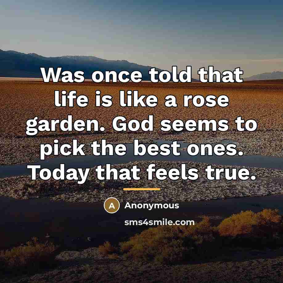 “Was once told that life is like a rose garden.…” quote by Anonymous