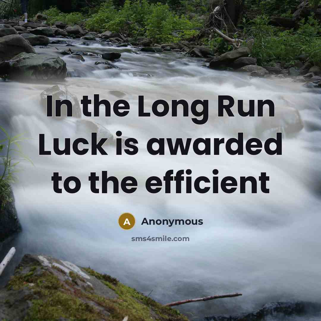 “In the Long Run Luck is awarded to the efficient” quote by Anonymous