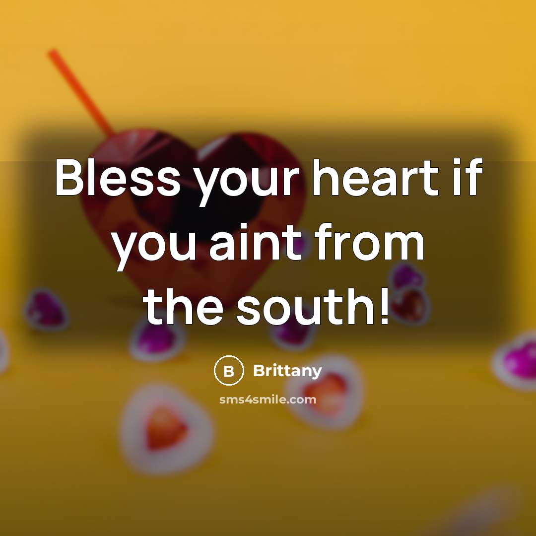 “Bless your heart if you aint from the south!…” quote by Brittany